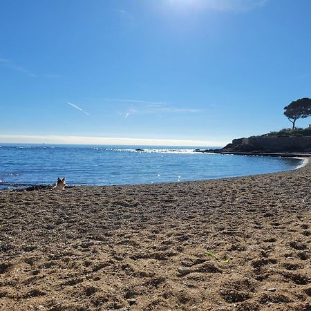 Appartement La Tranquillite, 2Mn A Pieds Mer Frejus Exterior photo
