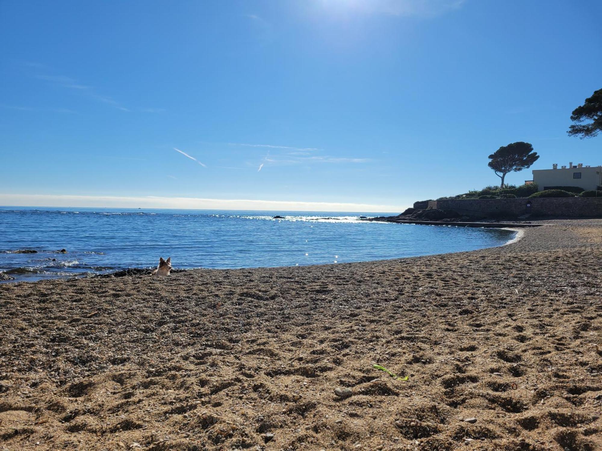 Appartement La Tranquillite, 2Mn A Pieds Mer Frejus Exterior photo